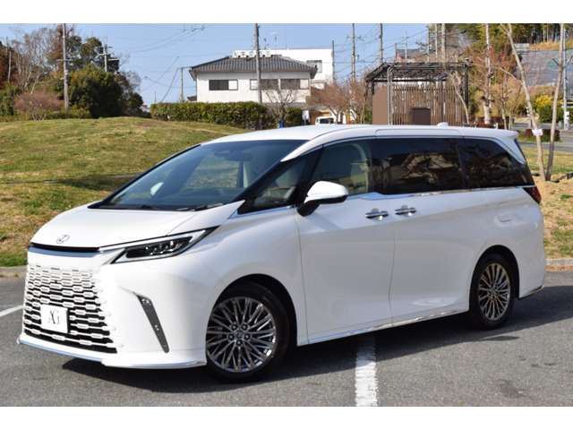2025 Lexus LM photo 6