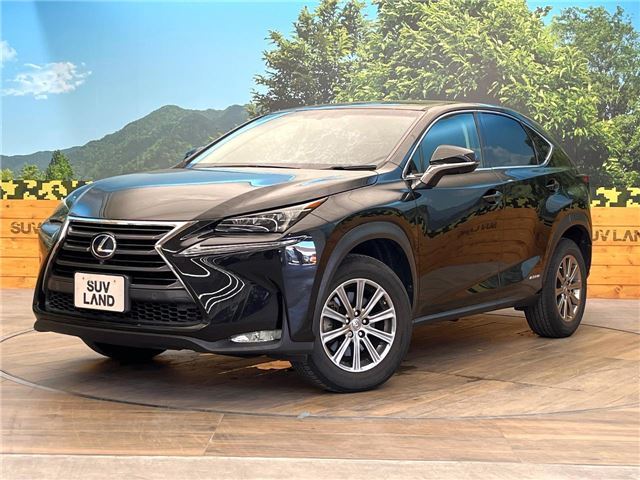 2014 Lexus NX — фото 1