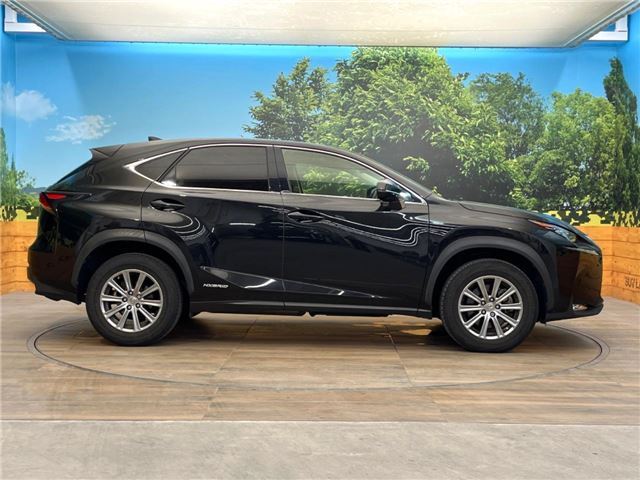 2014 Lexus NX — миниатюра 12