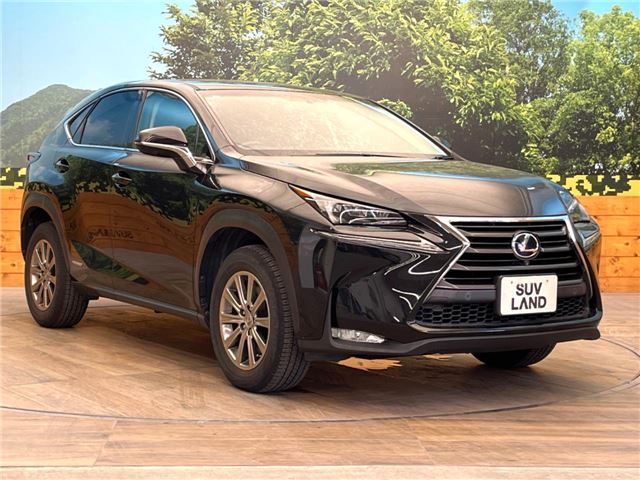 2014 Lexus NX — миниатюра 11