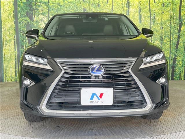 2016 Lexus RX — миниатюра 20