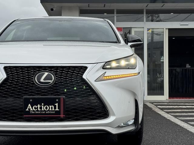 2014 Lexus NX 缩略图 11