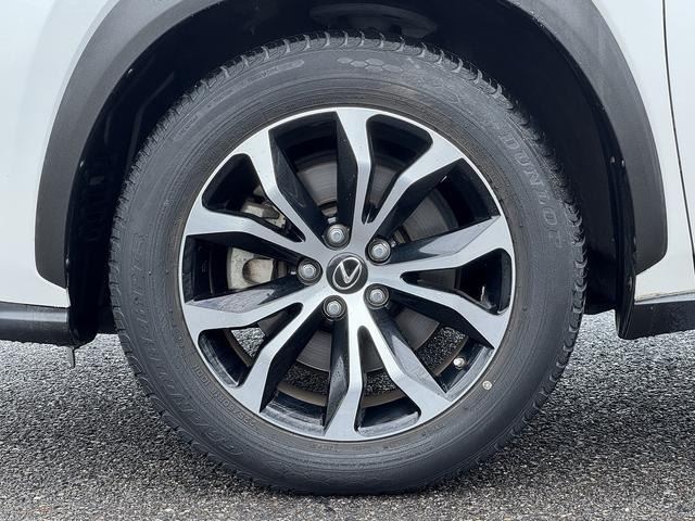 2014 Lexus NX 缩略图 22