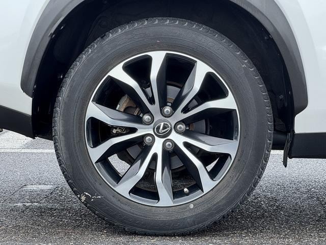 2014 Lexus NX 缩略图 24