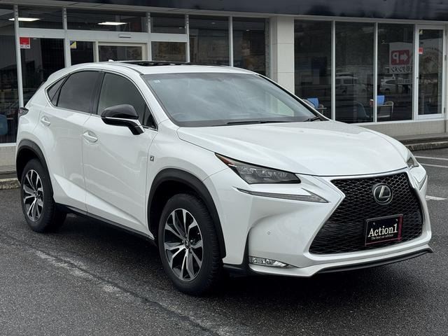 2014 Lexus NX — фото 9