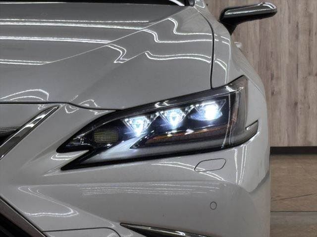 2020 Lexus ES thumbnail 12
