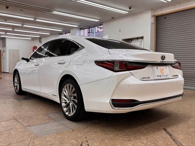2020 Lexus ES thumbnail 19