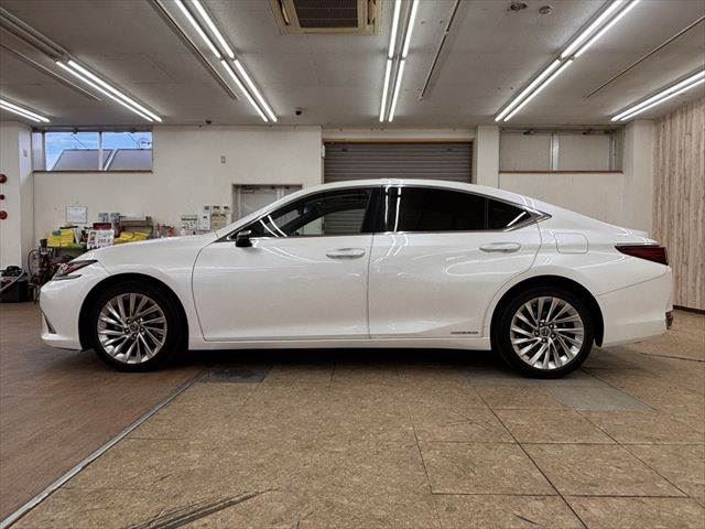 2020 Lexus ES thumbnail 20