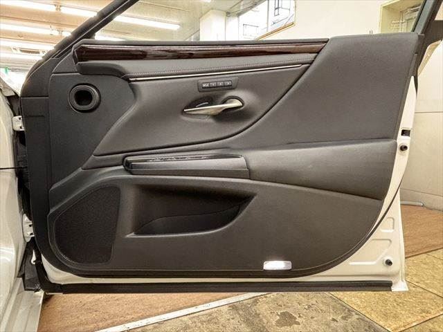 2020 Lexus ES thumbnail 50