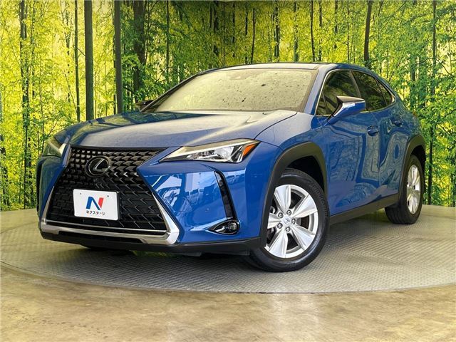 2020 Lexus UX photo 1