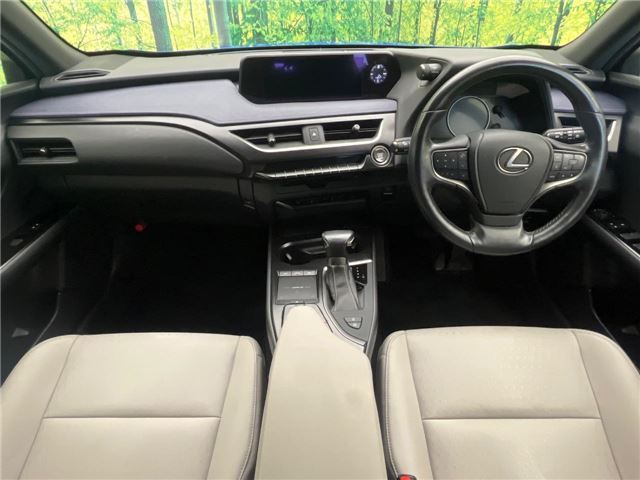 2020 Lexus UX 缩略图 21