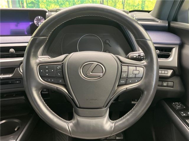 2020 Lexus UX 缩略图 22