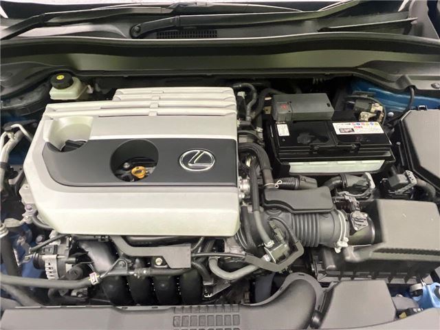 2020 Lexus UX photo 5