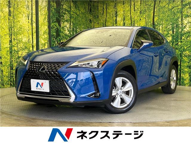 2020 Lexus UX photo 4