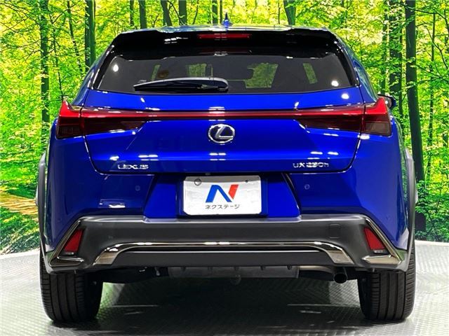 2019 Lexus UX photo 9