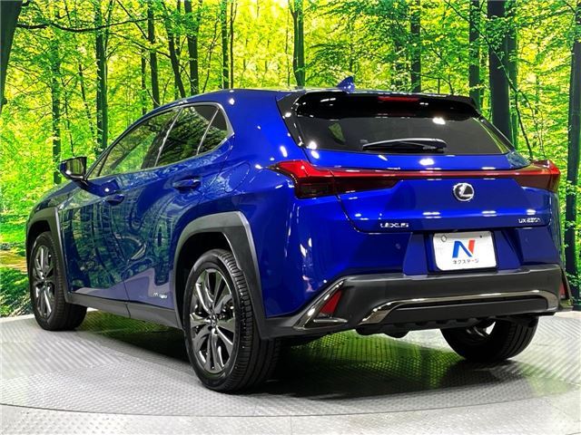 2019 Lexus UX photo 8