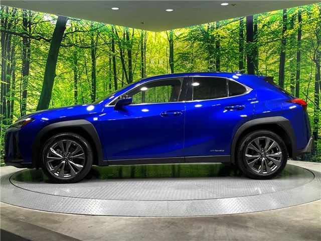 2019 Lexus UX photo 7