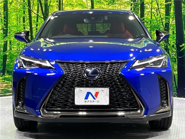 2019 Lexus UX photo 6