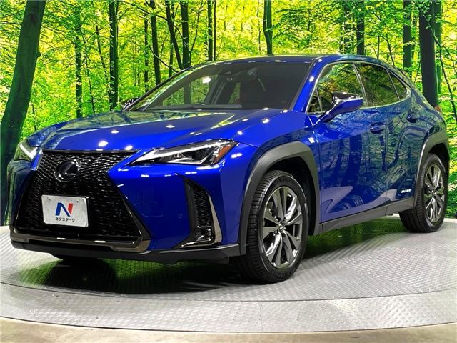 2019 Lexus UX photo 5