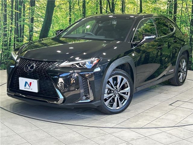 2020 Lexus UX photo 1