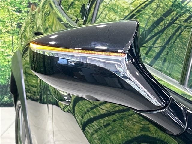 صورة مصغرة 24 لـ 2020 Lexus UX