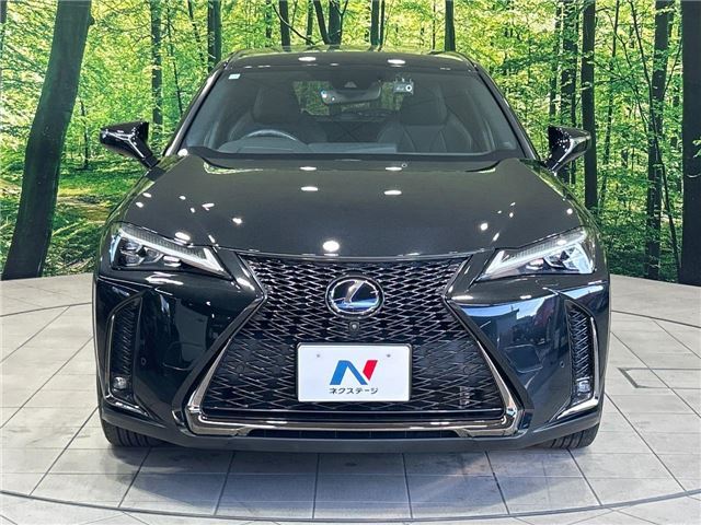 صورة مصغرة 27 لـ 2020 Lexus UX