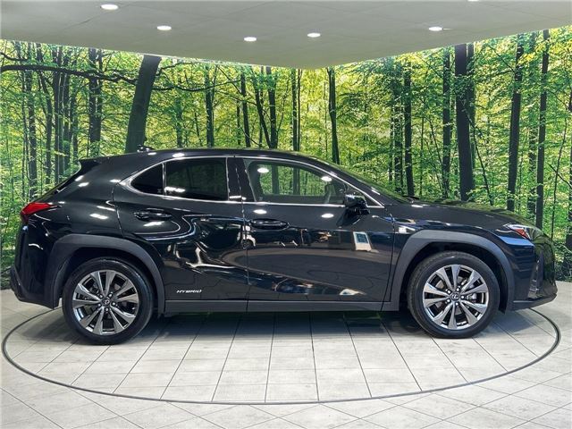صورة مصغرة 29 لـ 2020 Lexus UX