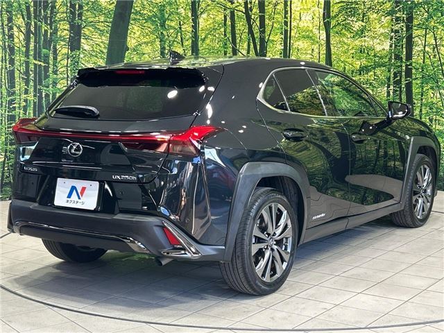 صورة مصغرة 30 لـ 2020 Lexus UX