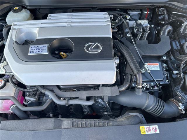 2020 Lexus UX photo 5
