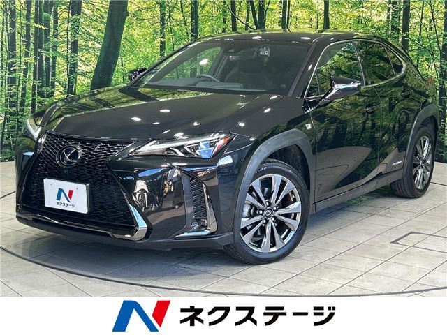 2020 Lexus UX photo 4