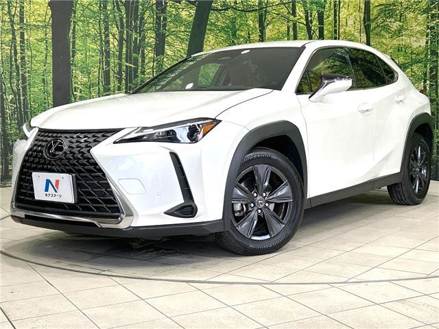 2024 Lexus UX photo 1