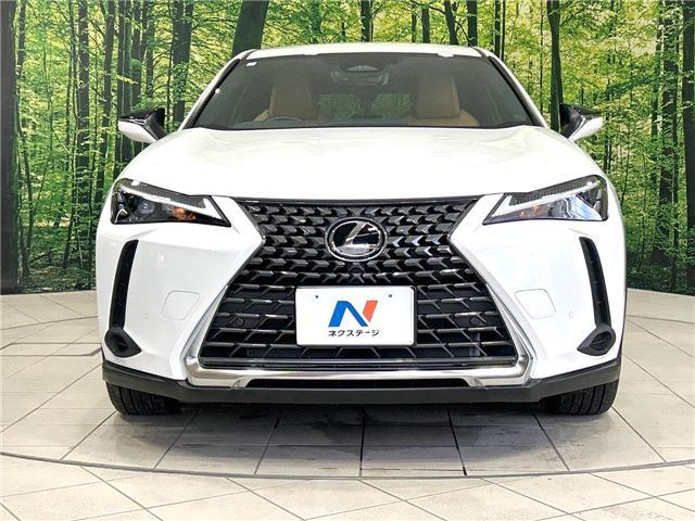 صورة مصغرة 23 لـ 2024 Lexus UX