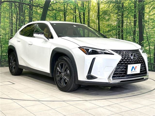 صورة مصغرة 24 لـ 2024 Lexus UX