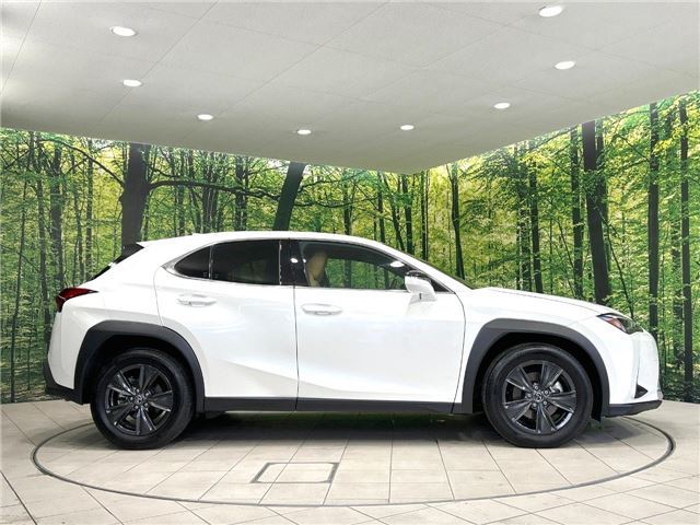 صورة مصغرة 25 لـ 2024 Lexus UX