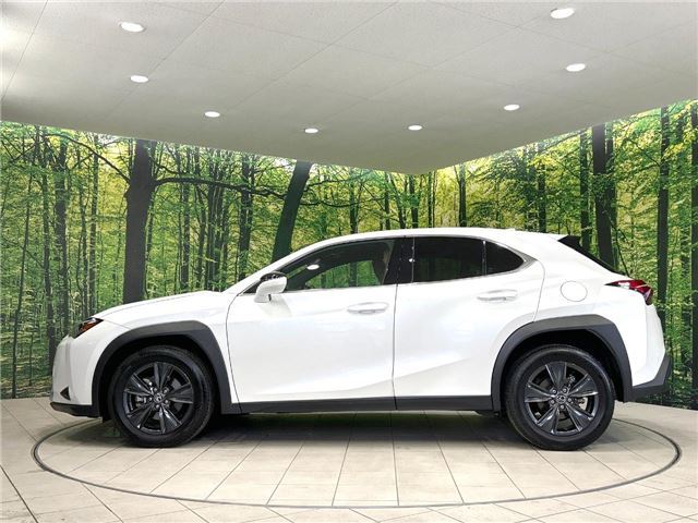 صورة مصغرة 29 لـ 2024 Lexus UX