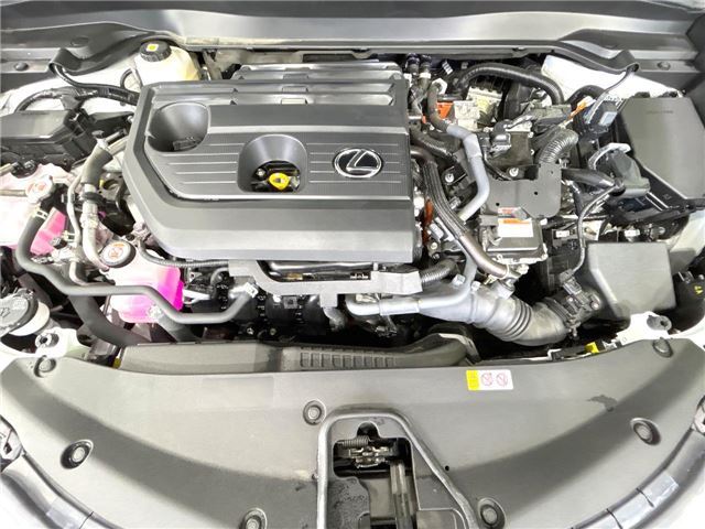 2024 Lexus UX photo 6