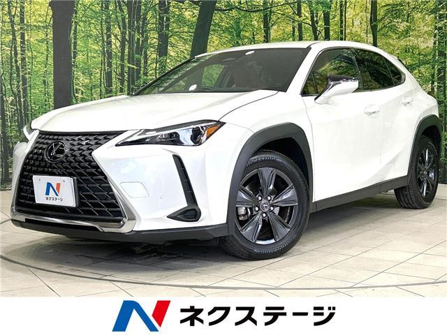 2024 Lexus UX photo 4