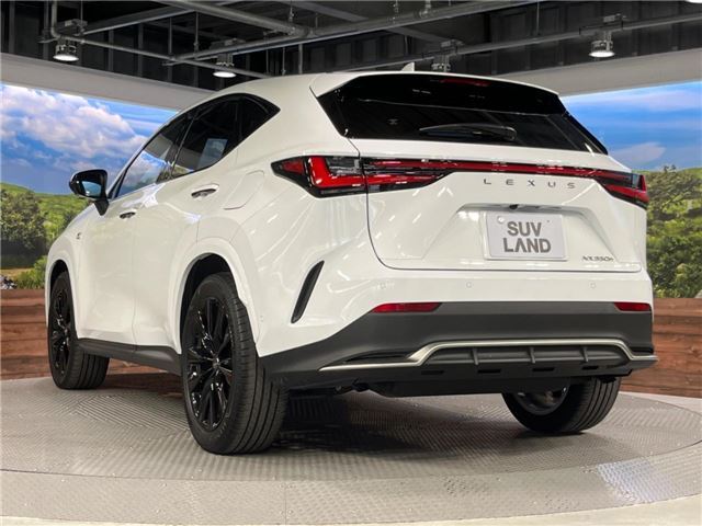 صورة 12 لـ 2024 Lexus NX