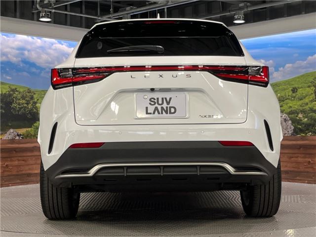 صورة 11 لـ 2024 Lexus NX