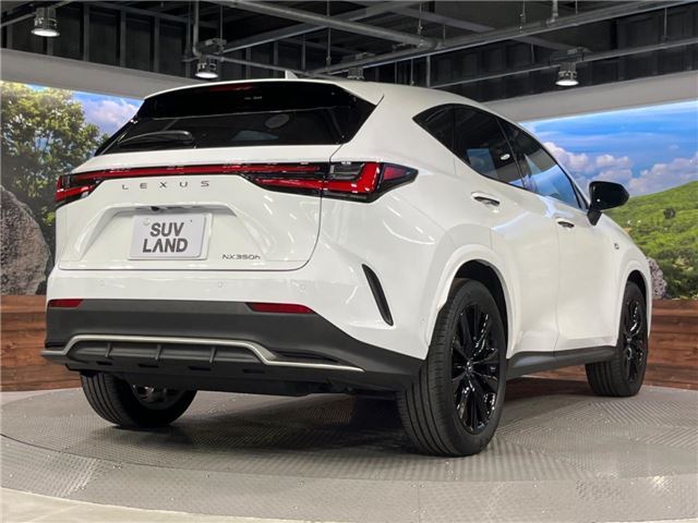 صورة 10 لـ 2024 Lexus NX