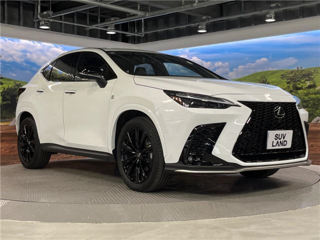 صورة 8 لـ 2024 Lexus NX