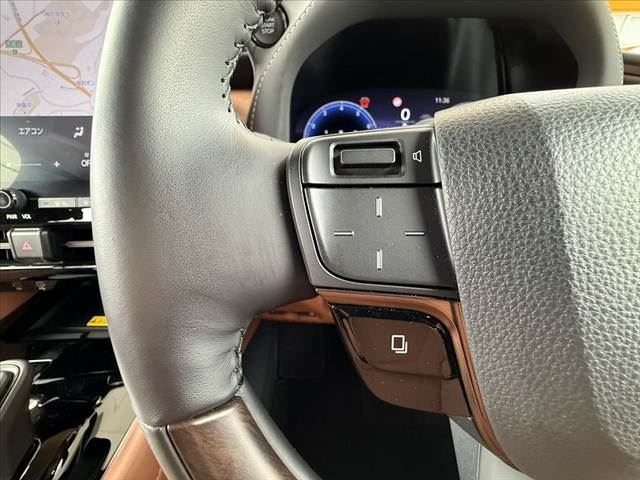 2025 Toyota VELLFIRE 缩略图 29