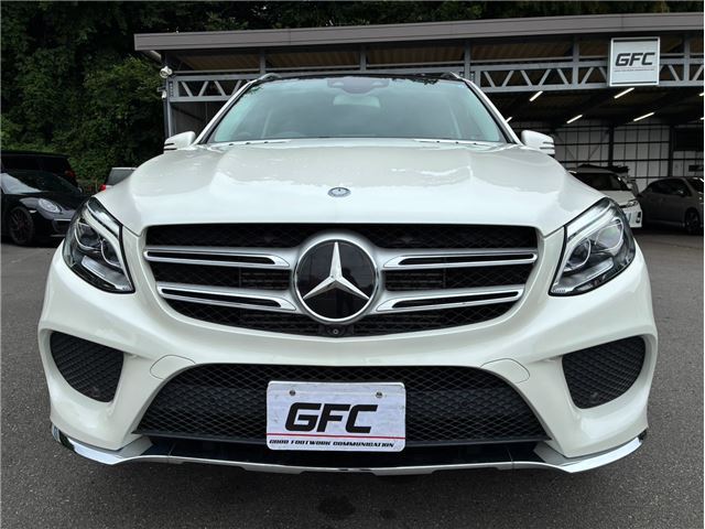 2016 Mercedes-BENZ GLE photo 6