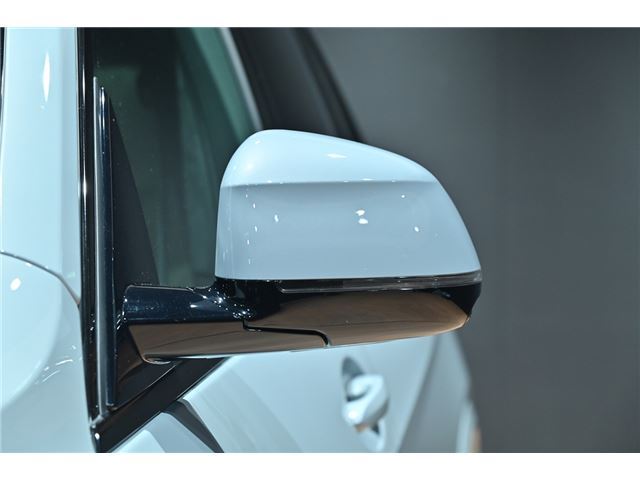 2024 BMW X7 缩略图 49
