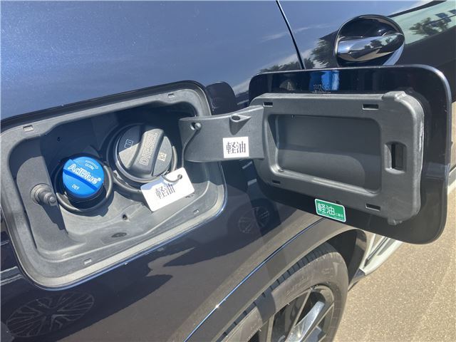 2023 BMW X7 缩略图 69