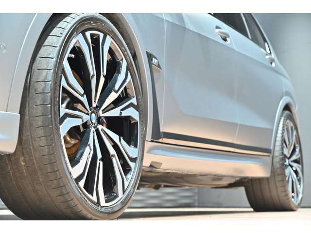 2024 BMW X7 缩略图 18