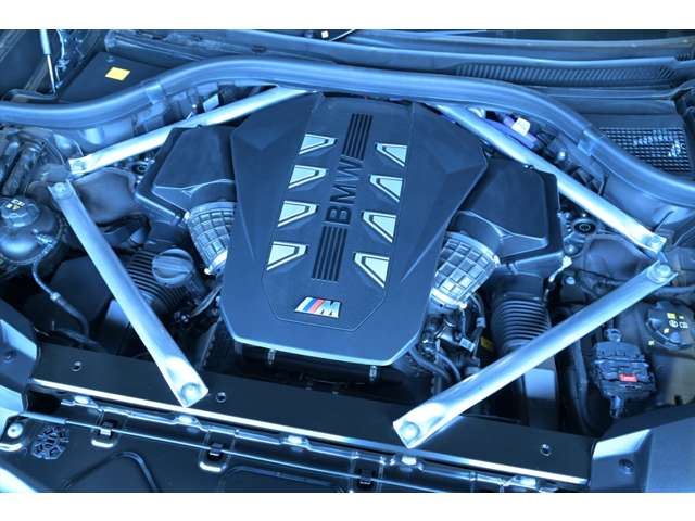 2024 BMW X7 缩略图 64