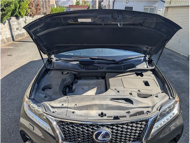 صورة مصغرة 27 لـ 2014 Lexus RX
