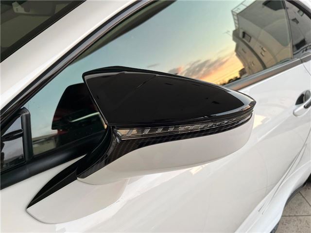2020 Lexus RC photo 10