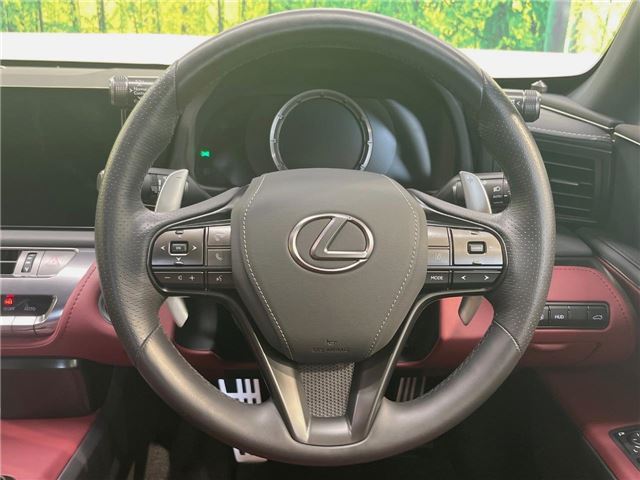 2024 Lexus LC thumbnail 26